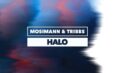 Mosimann turns viral Dream Track series into reality on new single ‘Halo’ with Tribbs