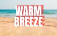 Metrion releases his infectious summer EDM anthem Warm Breeze
